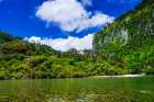 The Pororari River, Paparoa National Park, Punakaiki, New Zealand Art Print